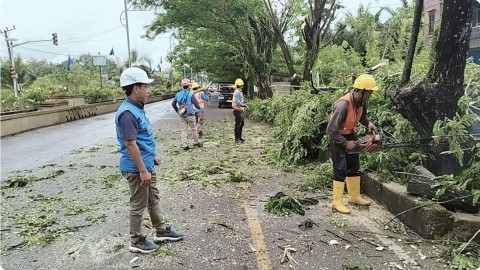 Momen Hari Pelanggan Nasional, PLN ULP Muratara Lakukan Pembersihan Jalur Listrik di Sepanjang Jalan Lintas Sumatera.