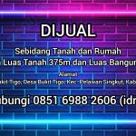 InShot_20251215_131054538